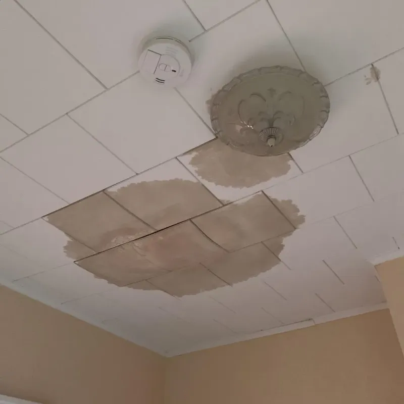 Ceiling Water Damage Repair in Herscher, IL