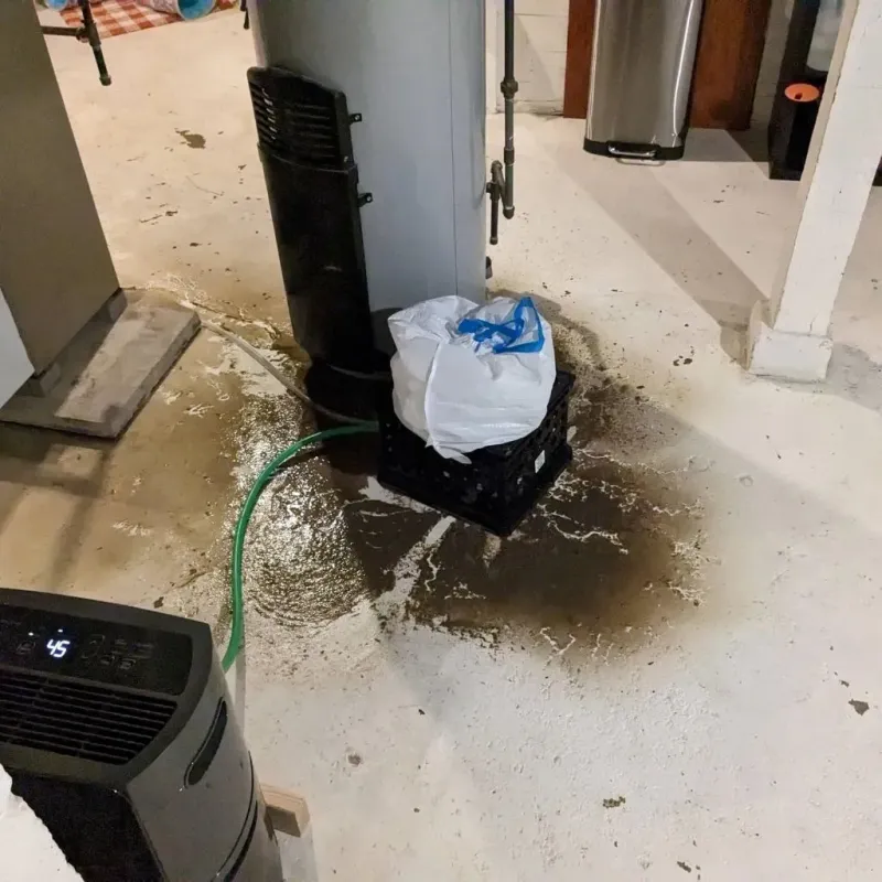 Sewage Backup Cleanup Service in Herscher, IL